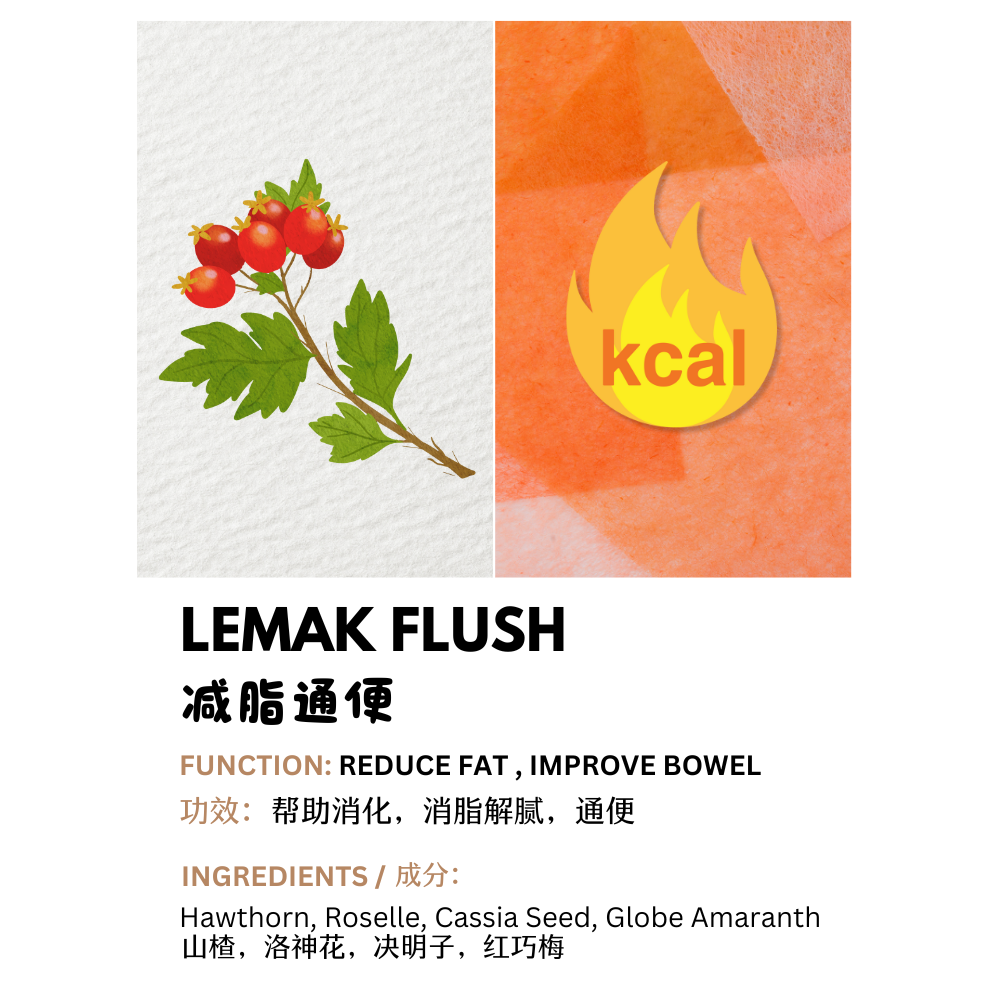 LEMAK FLUSH